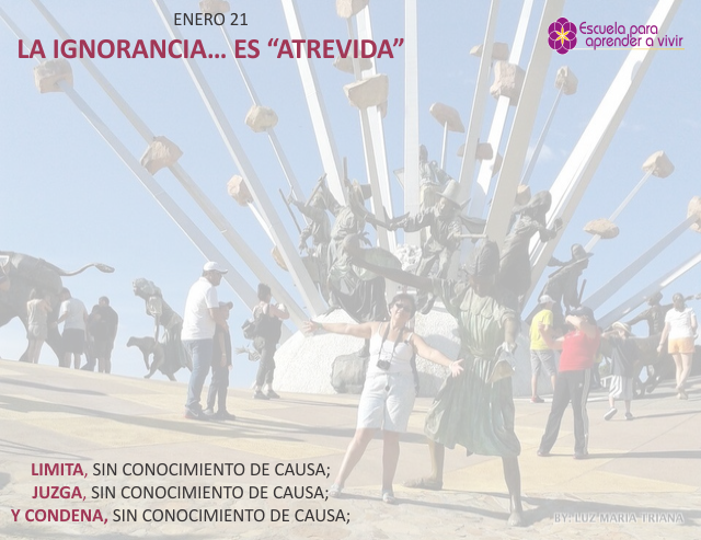 La ignorancia... es atrevida